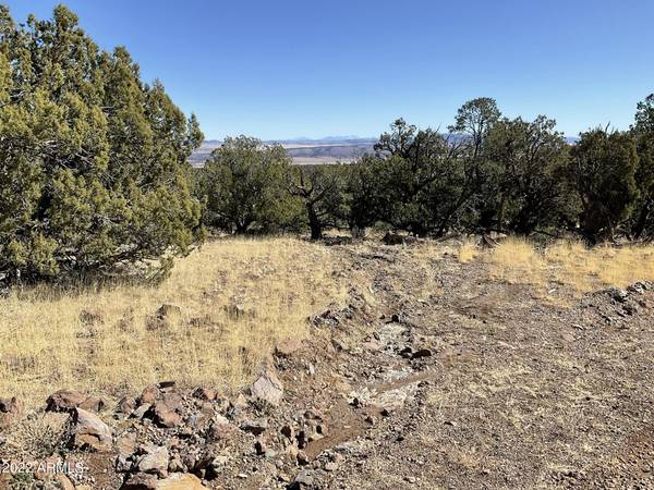 Seligman, AZ 86337,496 Sierra Verde Ranch -- #496