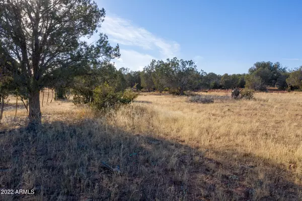 Ash Fork, AZ 86320,41300 Cattle Drive #0