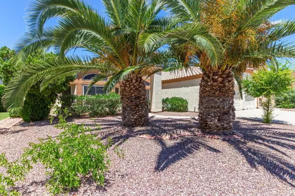 Chandler, AZ 85226,658 N POPLAR Court