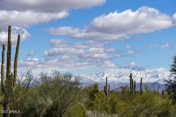 Fountain Hills, AZ 85268,16222 N BOULDER Drive