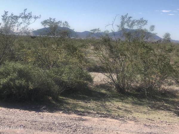 Tonopah, AZ 85354,421 W Camelback Road W #368