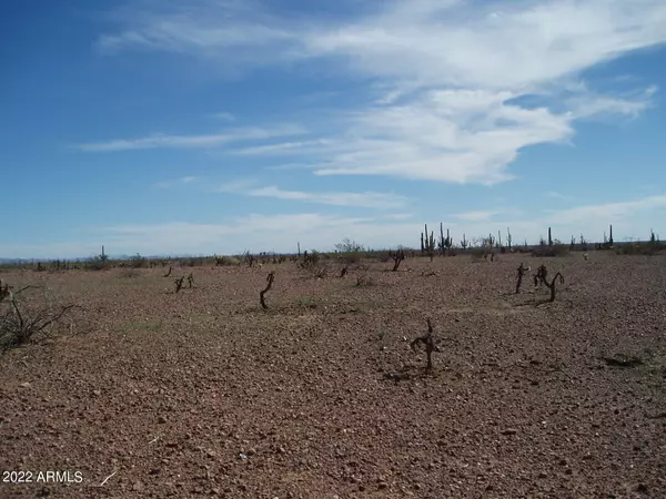 Unincorporated County, AZ 85361,29899 W Olesen Road #33