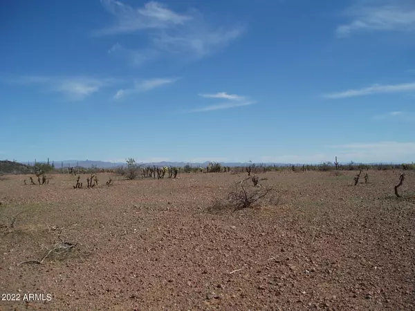 Unincorporated County, AZ 85361,29899 W Olesen Road #33