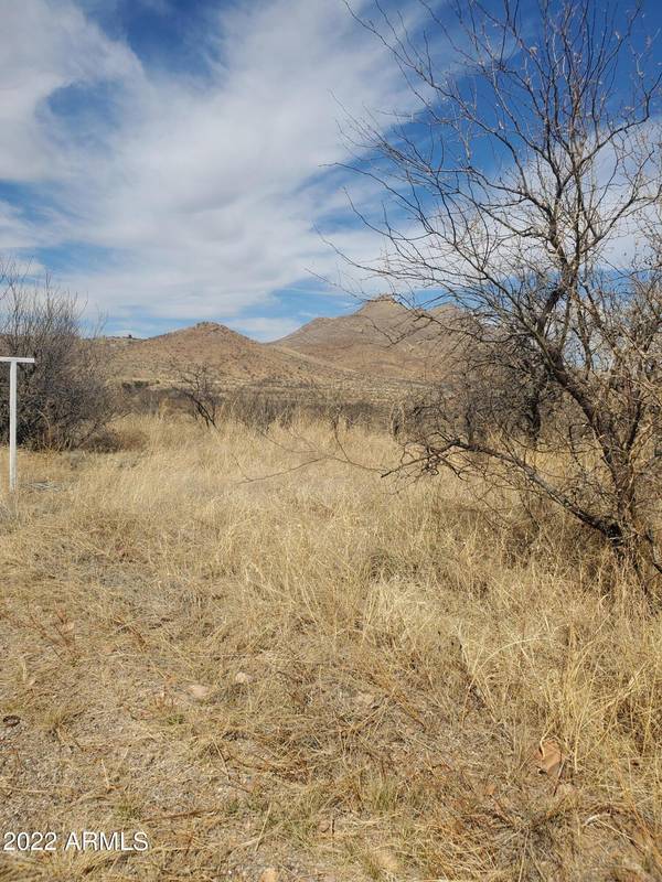 Rio Rico, AZ 85648,104 CIRCULO PENJAMO -- #12