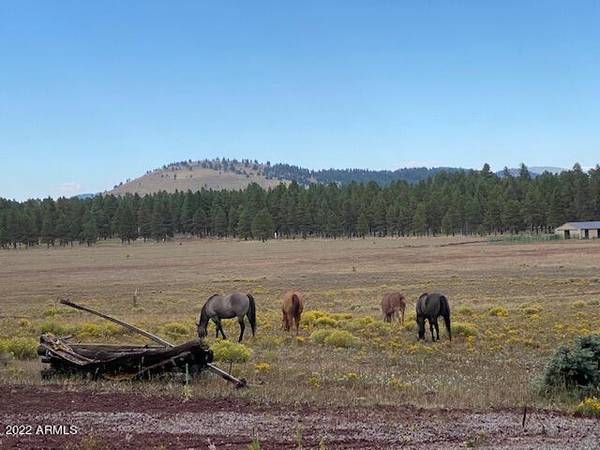 14146 E KEITH Drive #6,  Parks,  AZ 86018