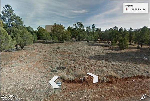 Overgaard, AZ 85933,2747 Airpark Drive #30