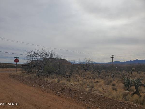 Rio Rico, AZ 85648,1730 CIRCULO BADAJADA -- #149