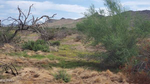 Wittmann, AZ 85361,31100 W Montgomery Road #-