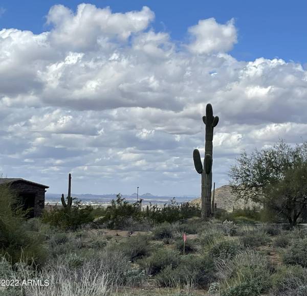 Mesa, AZ 85207,8511 E REGINA Circle #47