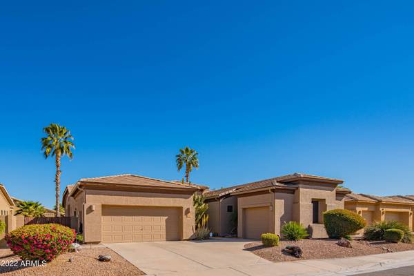 Chandler, AZ 85248,362 W CAROB Drive