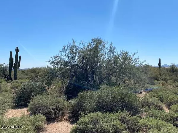 Rio Verde, AZ 85263,17030 E Lone Mountain Road #-