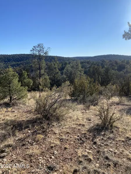 51804 N CORDERO Road #3385, Seligman, AZ 86337