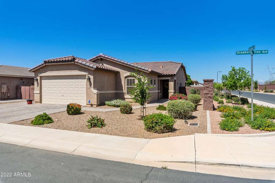 74 W STRAWBERRY TREE Avenue W, San Tan Valley, AZ 85140