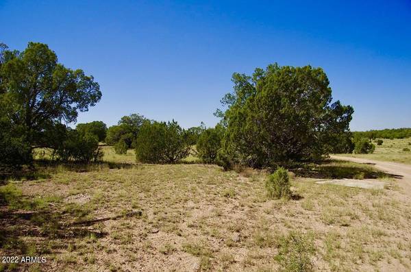 Seligman, AZ 86337,Denny Ranch Rd B 10 Acres -- #-