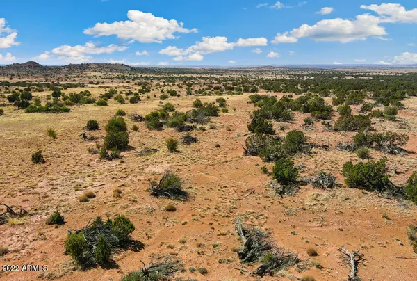 Snowflake, AZ 85937,3200 N Alamo Lane #121