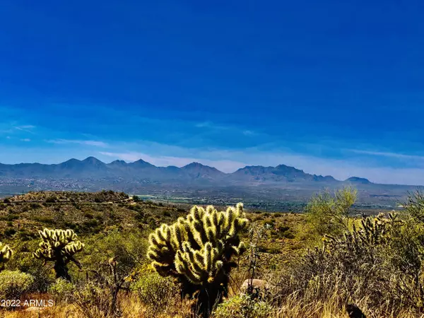 Fort Mcdowell, AZ 85264,0 N Lost Tank Trail #11