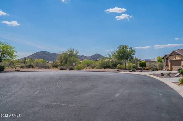 Peoria, AZ 85383,7678 W MOLLY Drive