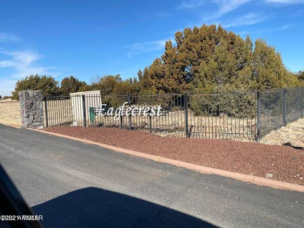 Show Low, AZ 85901,8372 LAKE VIEW Drive #8