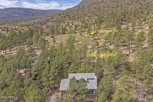 Pine, AZ 85544,5113 N JUNIPER Loop