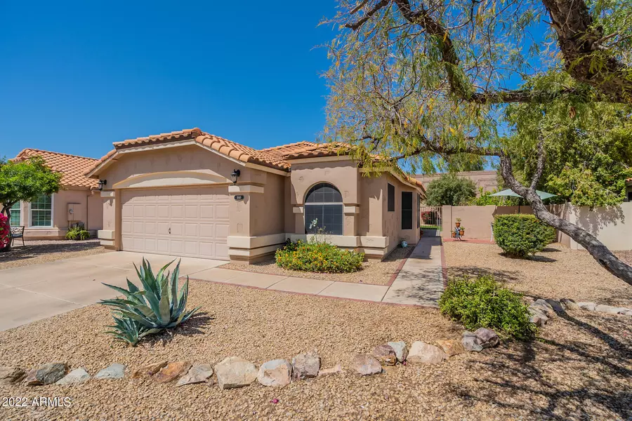 1646 W GUNSTOCK Loop, Chandler, AZ 85286