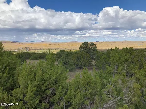 Eagar, AZ 85925,0 W Joy Drive #010D