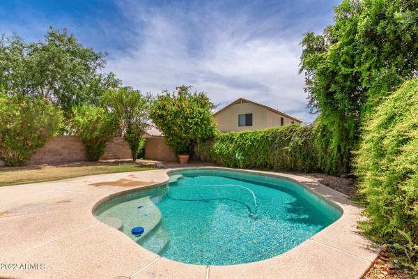 Avondale, AZ 85392,11413 W WINDSOR Avenue