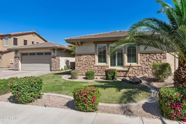 Chandler, AZ 85248,320 W HACKBERRY Drive