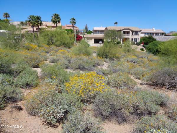 Fountain Hills, AZ 85268,15513 E Cavern Drive #10