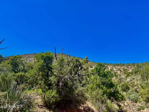 Kingman, AZ 86401,Parcel 135 Bull Springs Drive #-