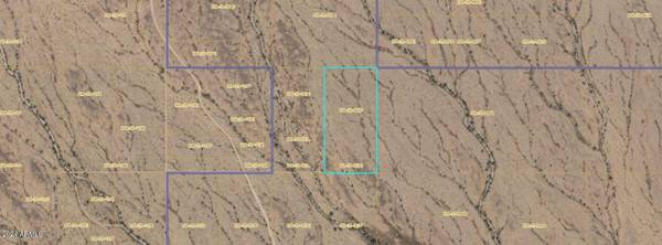 Tonopah, AZ 85354,423 N of Glendale Avenue #Lot 1