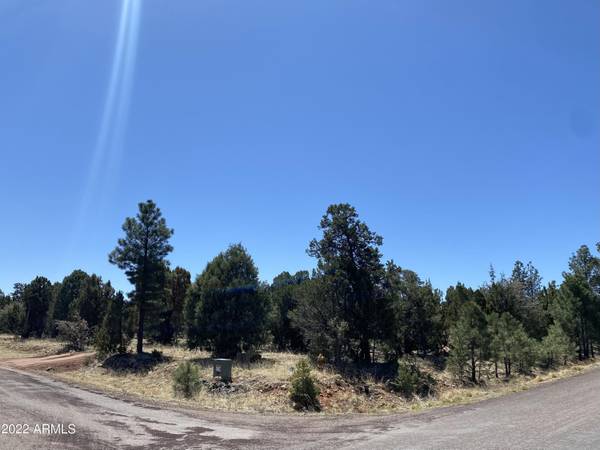 Heber, AZ 85928,3464 Riata Road #56