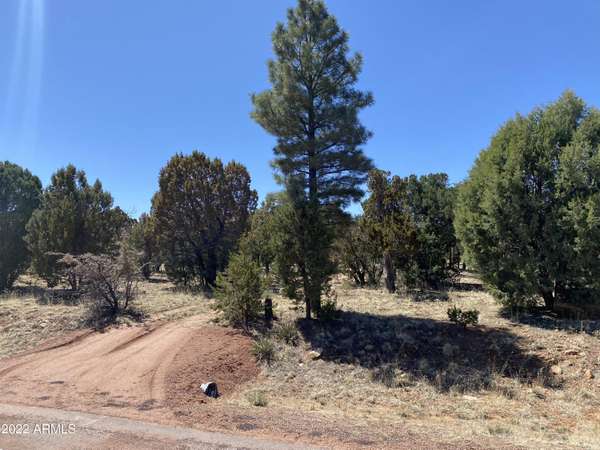 Heber, AZ 85928,3464 Riata Road #56