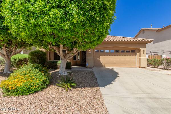 Peoria, AZ 85382,8166 W ROSE GARDEN Lane