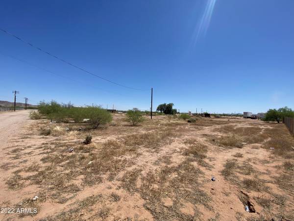 Casa Grande, AZ 85193,17799 W SALVATORE Lane #-