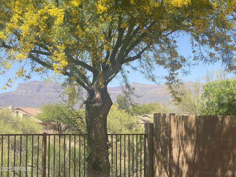 8466 S MOUNTAIN AIR Lane, Gold Canyon, AZ 85118