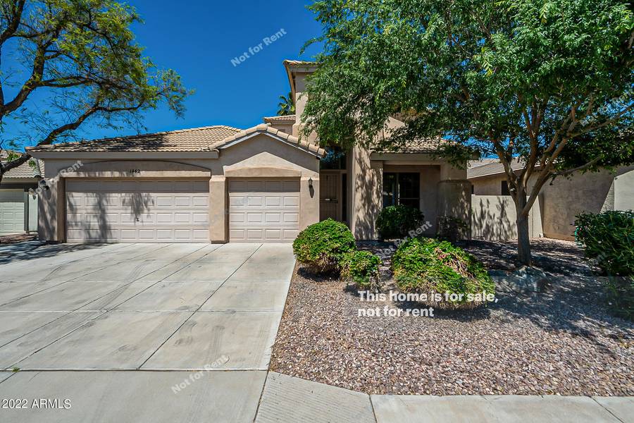 1442 E SARAGOSA Street, Chandler, AZ 85225