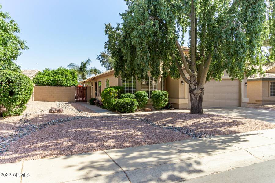 4249 E JASON Drive, Phoenix, AZ 85050