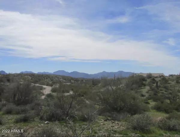 Fort Mcdowell, AZ 85264,13526 N Blue Coyote Trail #7