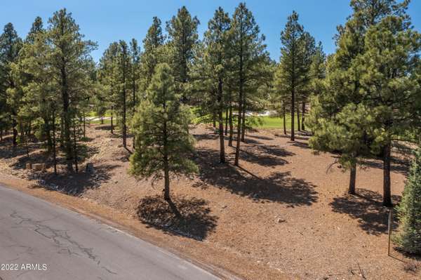 Flagstaff, AZ 86005,3948 S Clubhouse Circle #292