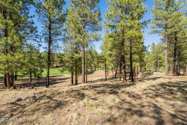 Flagstaff, AZ 86005,370 Woodland Hills Drive #370