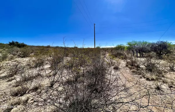 Tombstone, AZ 85638,Rainbow Rd 4.78 Acres -- #22