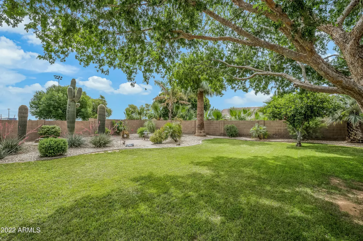 Peoria, AZ 85382,8647 W DEANNA Drive