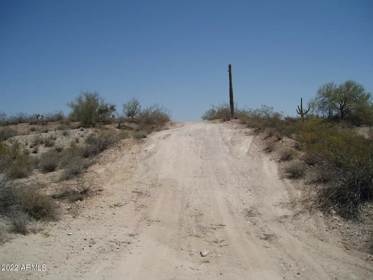 Unincorporated County, AZ 85361,29475 W Painted Wagon Trail #73