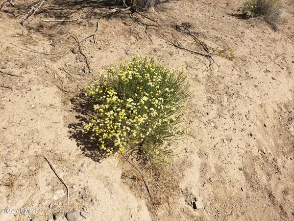 Golden Valley, AZ 86413,0 Hope Road #165A