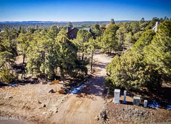 Heber, AZ 85928,3432 CLOUD NINE Boulevard