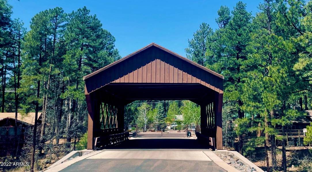 38 Big Springs Trail #38, Lakeside, AZ 85929