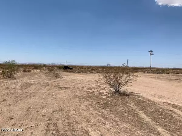 Buckeye, AZ 85396,333 N 295th Lane #-