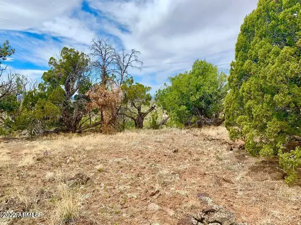 Show Low, AZ 85901,9095 Chimisa Ranch Road Road #-