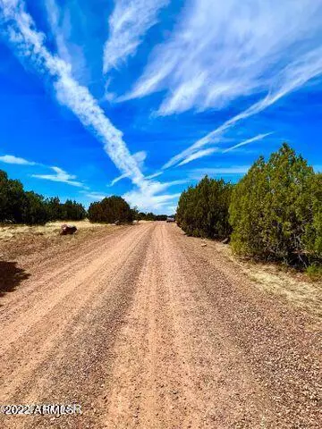 Show Low, AZ 85901,9095 Chimisa Ranch Road Road #-