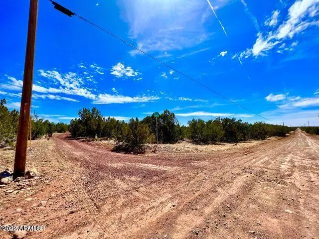 Show Low, AZ 85901,9095 Chimisa Ranch Road Road #-